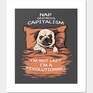 Rivolutionary nap Posters and Art